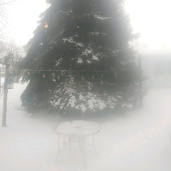 Meet your Posher, Kevin - Picture 1 of 1